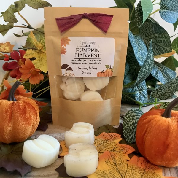 Pumpkin Harvest Wax Melts