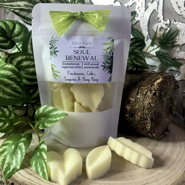 Soul Renewal Wax Melts