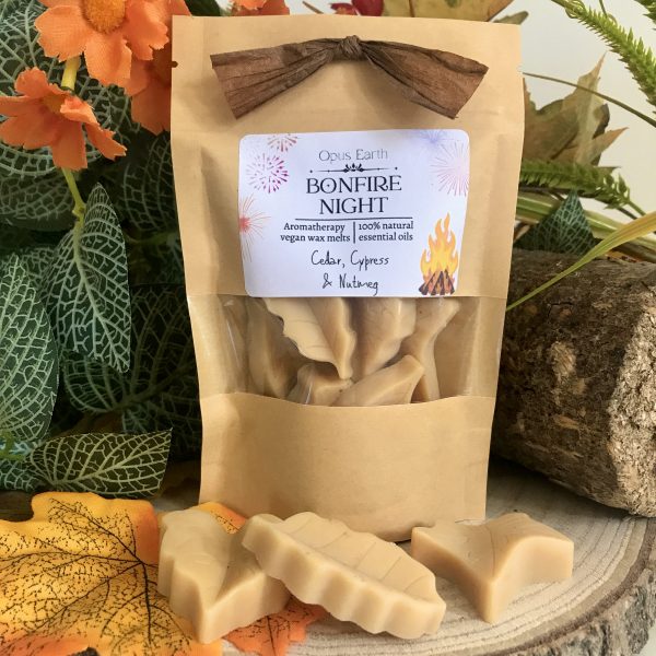 Bonfire Night Wax Melts